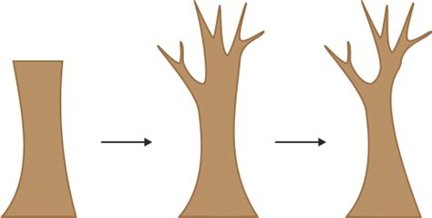 Cara Membuat Gambar Pohon Sederhana Siswapedia