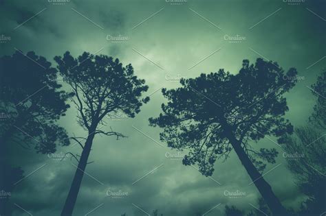 Tree With Stormy Sky High Quality Nature Stock Photos ~ Creative Market