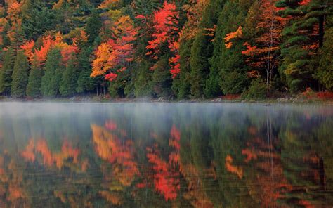 Lake Reflection Of The Forest Shades Of Autumn Wallpaper Nature Wallpapers 39003