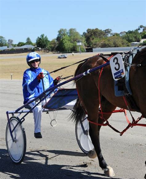 team manning to return for stawell pacing cup the ararat advertiser ararat vic