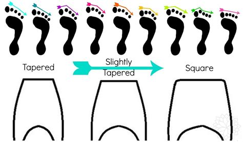Learn Your Foot Type Pointe Fitting