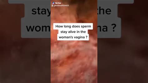 How Long Does Sperm Stay Alive In Women S Vagina Youtube