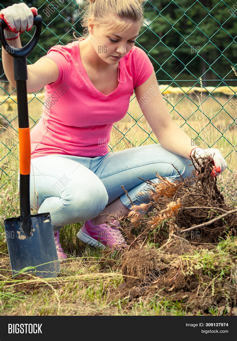 Woman Gardener Digging Image Photo Free Trial Bigstock