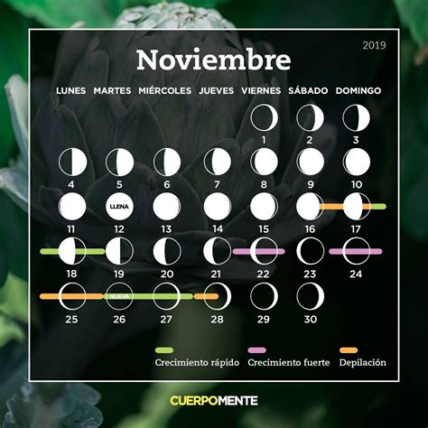 Calendario Lunar 2022 Cuerpo Y Mente Zona De Información