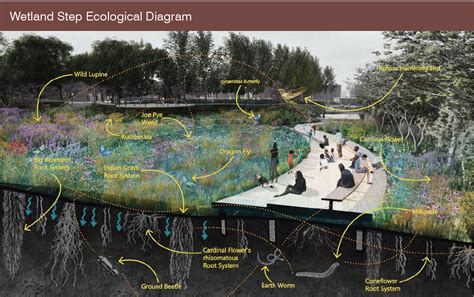 Wetland Landscapemodel Landscape Architecture Model Landscape Model