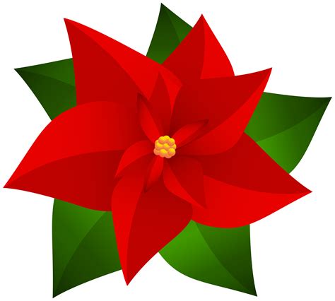 Poinsettia Christmas Clip Art Christmas Png Download 80007205