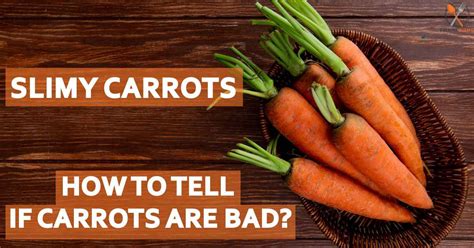 Slimy Carrots How To Tell If Carrots Are Bad