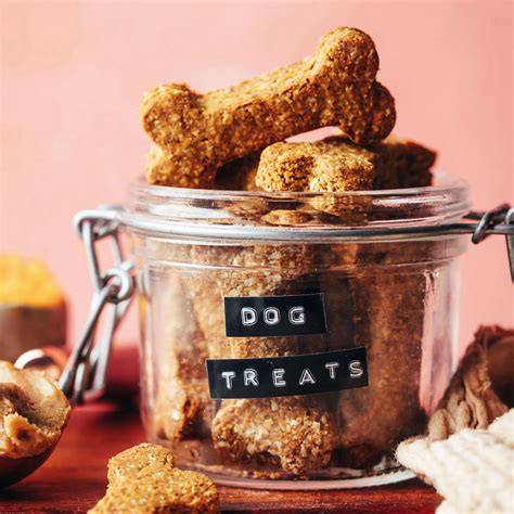 Easy Peanut Butter Pumpkin Dog Treats 3 Ingredients Minimalist Baker