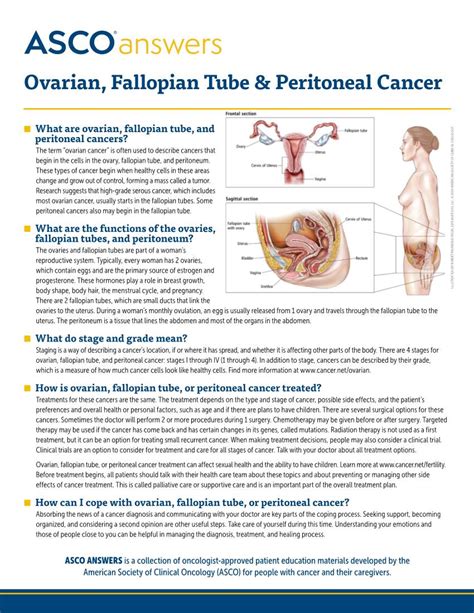 ASCO Answers Ovarian Fallopian Tube And Peritoneal Cancer DocsLib