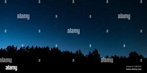 The Starry Night Sky Above The Silhouette Of The Forest The Andromeda
