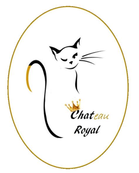 Kattenoppas Aan Huis Chateau Royal