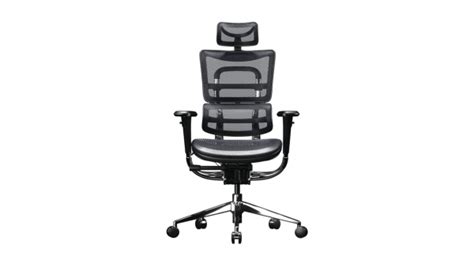 Types Of Posture How To Fix Bad Posture With Ergonomic Office Chairs