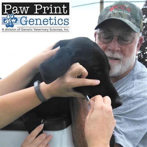 Paw Print Genetics Pawprintgenetics • Instagram Photos And Videos Genetic Health Genetics