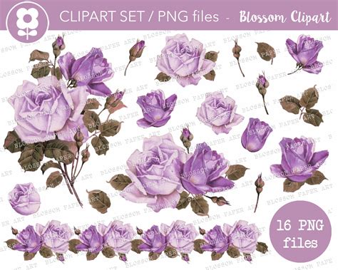 Purple Roses Clipart Vintage PNG Roses Floral Elements Etsy Canada