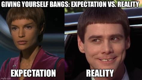 Expectation Vs Reality Short Bangs Imgflip