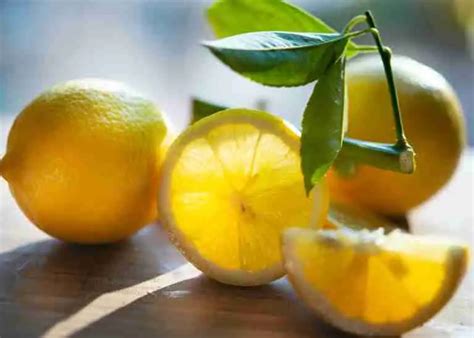 26 Fun Facts About Lemons Get A Vitamin C Kick Amazing Facts Home