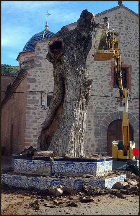 Vive Y Visita Las Tierras Del Palancia Castellnovo Pierde Su