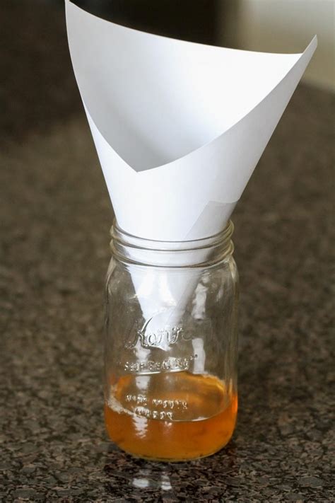 Homemade Fruit Fly Trap How To Get Rid Of Fruit Flies Lil Luna