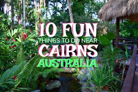 Reefs And Rainforest 10 Fun Things To Do Near Cairns Australia The
