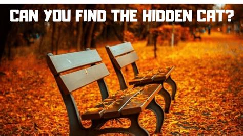 Click on the button below each question to see answer. Tough Hidden Animals #Picture #Puzzles - YouTube