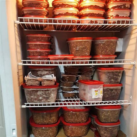 Convenient, reliable, dogs love the food i switched my dogs to a raw diet about 2 months ago. The Zen of a Full Freezer and Raw Feeding | Keep the Tail ...