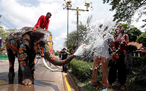 Elephants have a splashing time during the Songkran Water Festival in ...