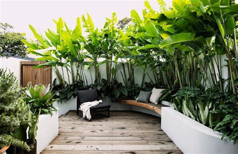A Small Tropical Garden With Low Maintenance Plants Courtyard Gardens