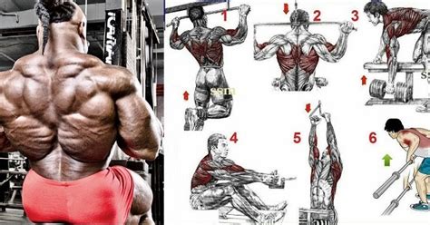 5 No Bs Best Back Exercises For Super Explosive Muscle Growth All
