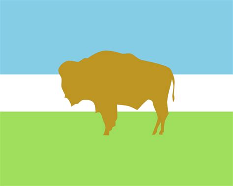 Redesign For The Flag Of The Oglala Lakota R Vexillology