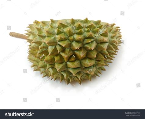 Durian Fruit Shell Isolated On White Stock Photo 2010637967 Shutterstock