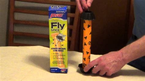How To Catch Flies House Fly Trap Youtube
