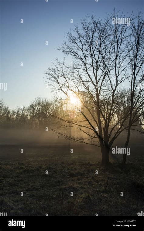 Sunlight Through Mist Fog Hi Res Stock Photography And Images Alamy