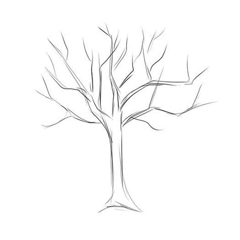 How To Draw A Tree Tree Drawing Tree Drawing Simple Trees Drawing