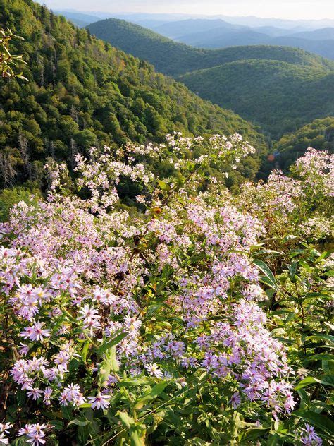 Everything You Need To Know When Planning A Trip To Cades Cove This