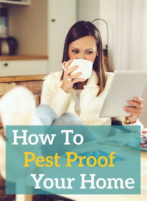 Learn How To Pest Proof Your Home Using These 3 Simple Do It Yourself