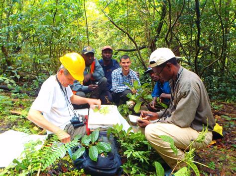 Society For Conservation Biology Walking The Ebo Forest Of Cameroon