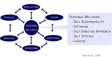 About Whole Person Wellness Center For Successful Aging Csuf