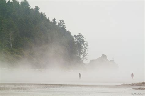 Pacific Northwest Beach In The Mist Wa Places Ive Been Places To Go