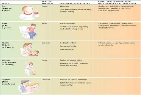 Freuds Stages Of Psychosexual Development Freud Stages