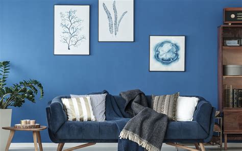 10 Paint Colors That Go Well With Shades Of Blue For Home Space
