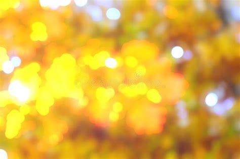Autumn Yellow Leaves Blurred Background Of Trees Stock Photo Image Of
