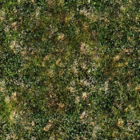 Free Download Grassjungle Jungle Grass Textures 1500x1500 Wallpaper Textures 600x600 For Your