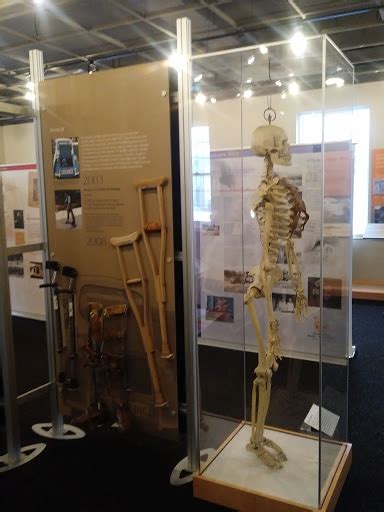 Tourist Attraction Museum Of Disability History Reviews And Photos