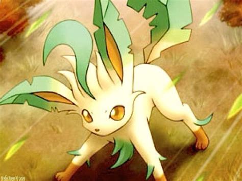 Leafeon Pokémon Amino