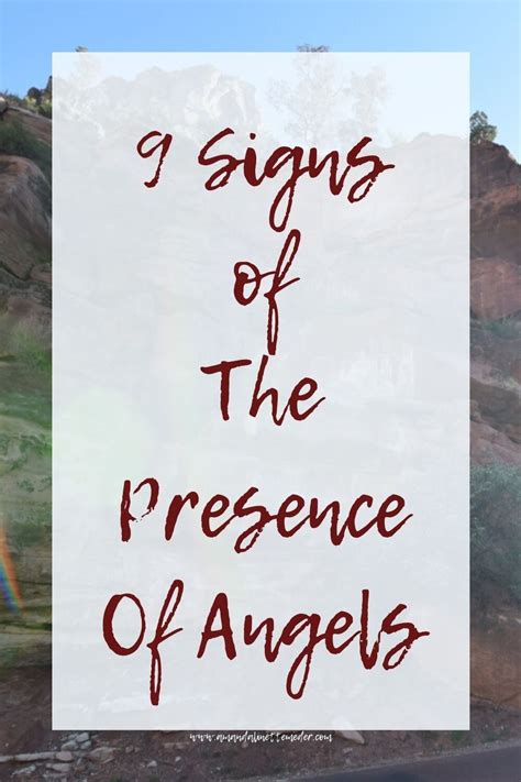 9 Signs Angels Are Around You — Amanda Linette Meder Angel Messages