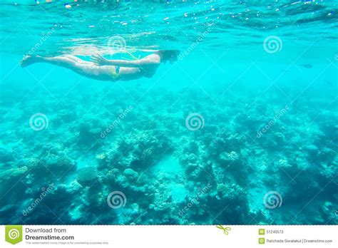 Exotic Marine Life Near Maldives Island Stock Image Image Of Nature