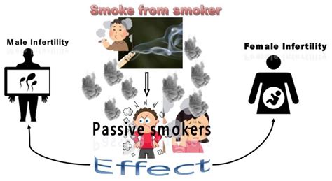how passive smoking effects fertility health vision india