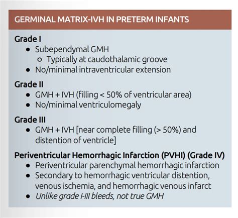 Grading Germinal Matrix Haemorrhage In Preterm Infants Preterm