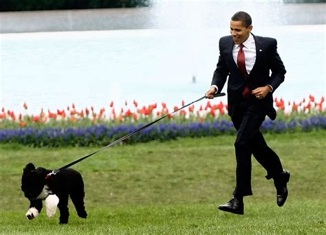 بكلمات مؤثرة عائلة أوباما تودّع كلبها ”بو“