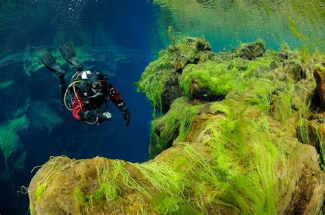 Padi Dry Suit Course And Silfra Diving Tour In 2 Days Diveis Iceland